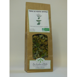 Tisane simple bio de menthe sauvage