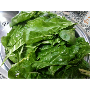 épinard frais