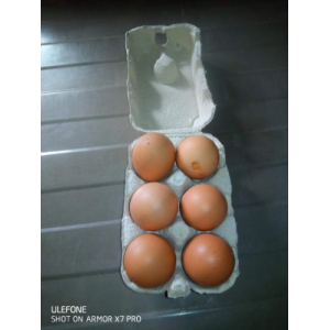 Oeufs plein air de millevaches moyen