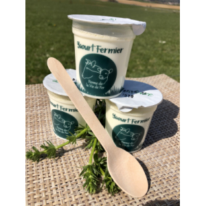 Yaourt aromatisé noix de coco