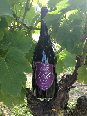 Pinot noir