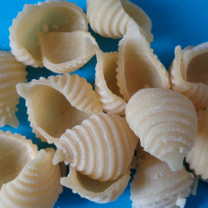 Pâtes fraîches conchiglie