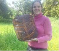 Très gros pain nature bio 3kg fr-bio-09