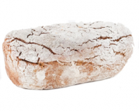 Petit seigle 100% seigle fr-bio-09