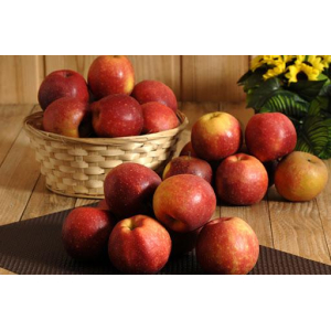 Pomme bio, variété dalinette