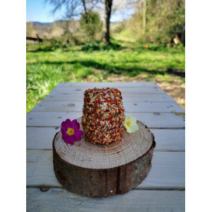 Le frais 'bruschetta' pur chèvre bio