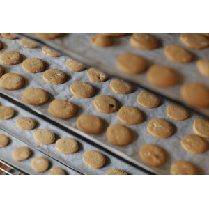 Petits gâteaux aux noisettes