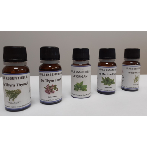 Huile essentielle de thym à thymol