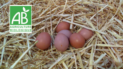 30 oeufs bio extra frais