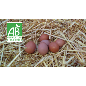 30 oeufs bio extra frais