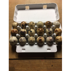 Oeufs de cailles boite de 18