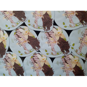 Crème dessert vanille