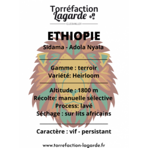 Ethiopie sidama adola nyala - moulu italienne