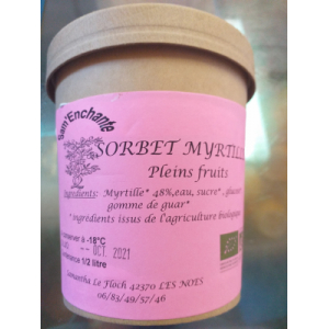 Sorbet pleins fruits myrtille