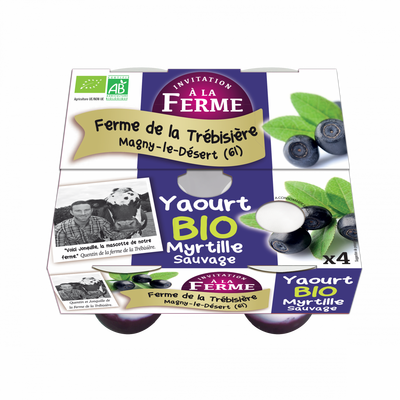 Yaourt brassé myrtille fermier et bio 4x125g
