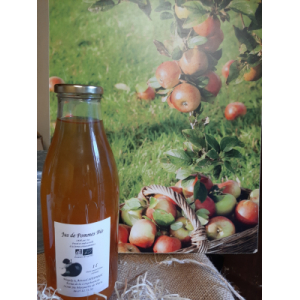 Lot 6 jus de pommes 1l bio