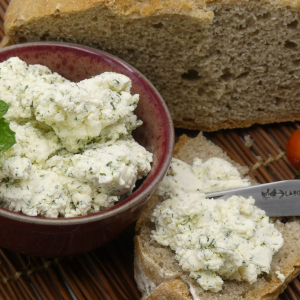 Tarti-chêne saveur bambino