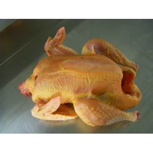 Poulet entier de 1,8kg