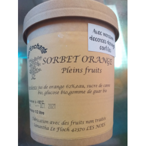 Sorbet pleins fruits orange