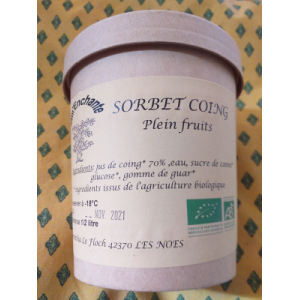 Sorbet pleins fruits coing