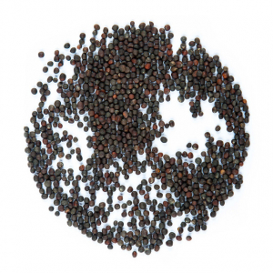 Graines de chou rouge vrac 50g