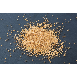 Graines de moutarde blanche vrac 50g