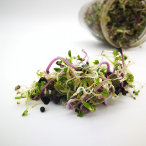 Mélange de graines 'red spicy' vrac 125g