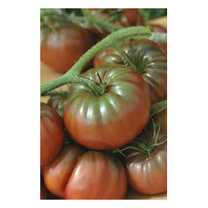 Tomate noire de crimée