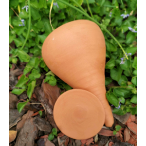 Olla à planter 25cl