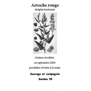 Graines d'arroche rouge