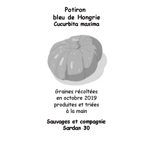 Graines de courge bleue de hongrie