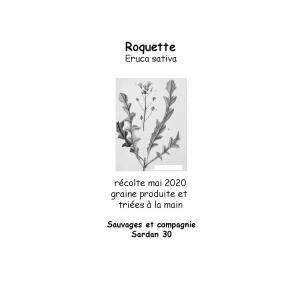 Graines de roquette cultivée