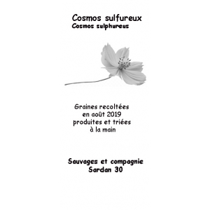 Graines de cosmos sulfureux