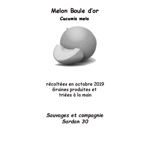 Graines de melon boule d'or