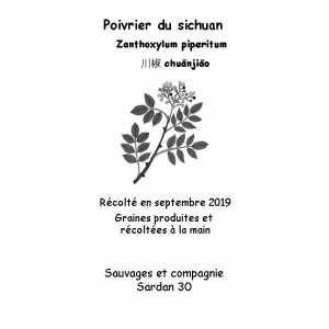Graines de poivrier du sichuan