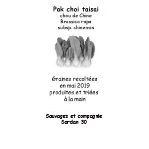 Graines de pak choi taisai ou chou chinois