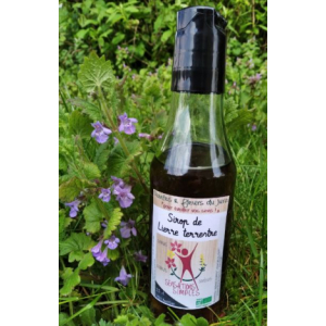 Sirop de lierre terrestre