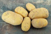 Pomme de terre chair ferme