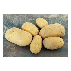 Pomme de terre chair ferme