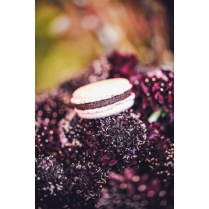 Macaron cassis du val de loire x6