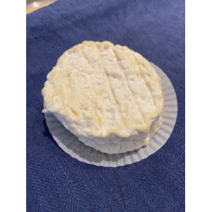 Petit paulinetois de brebis