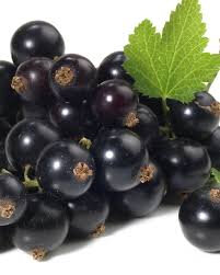 Gelée de cassis