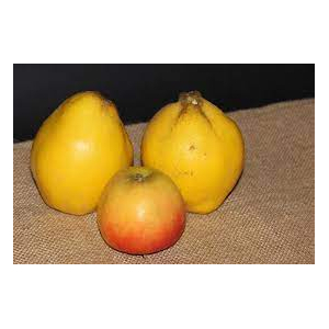 Confiture de pomme/coing