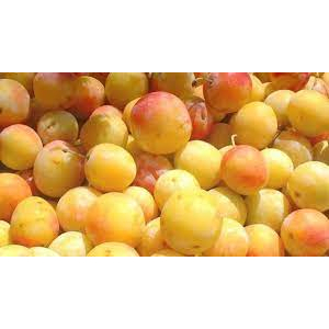 Confiture de mirabelle