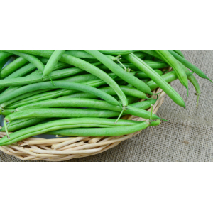 Haricots verts