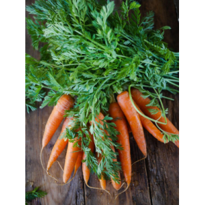 Carottes fanes