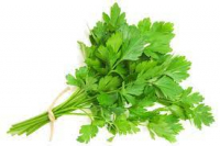 Persil plat (bouquet)