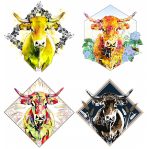 Carton mix petites (nouveau format 33cl)