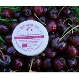 Le yaourt sur lit de cerise 125g