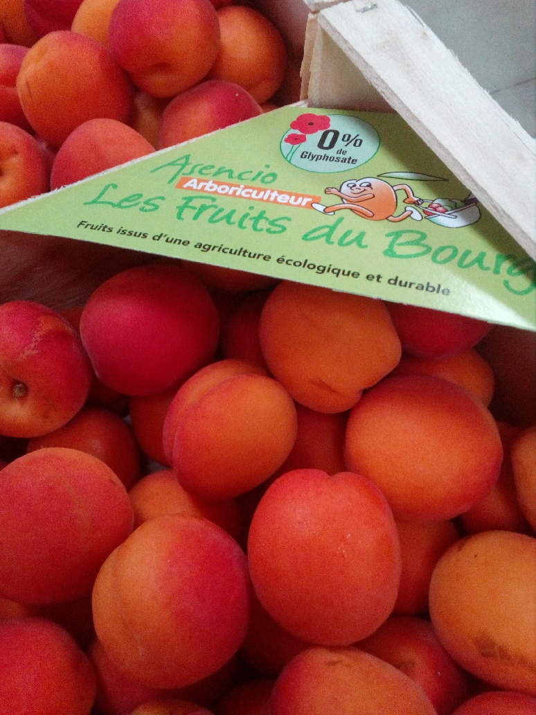 Pommes bio type bicolore - 1 kg - Clos Fougères 